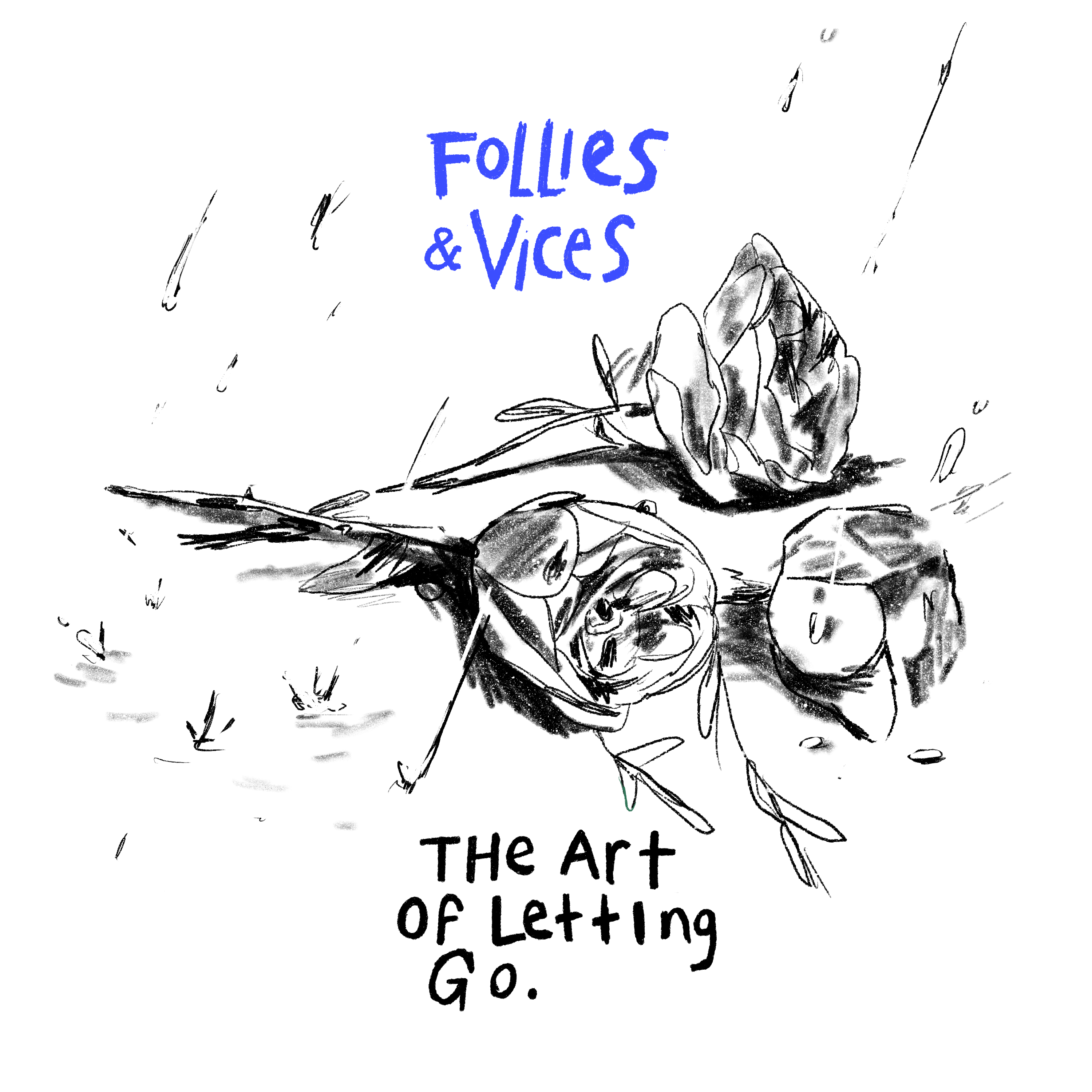 Album Art / Follies & Vices  Image